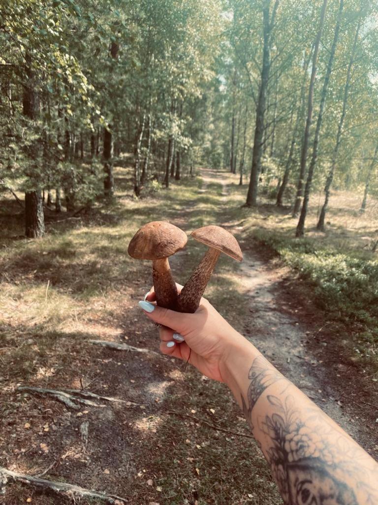 Domek Bartoszylas Z Sauna I Balia Esterno foto
